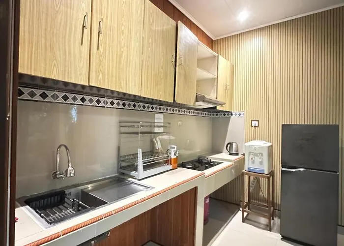 Usane 4* أوبود