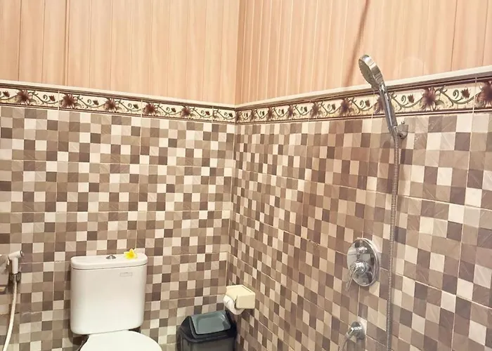 Usane 4* أوبود